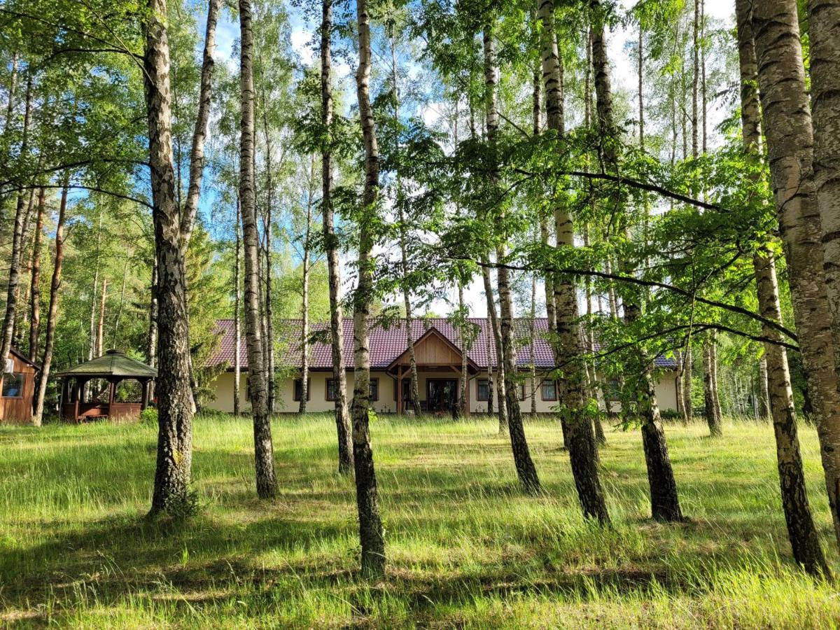 Hotel Osrodek Wypoczynkowy Zacisze Śliwice Exterior foto